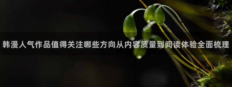 樱花日语学习网站推荐