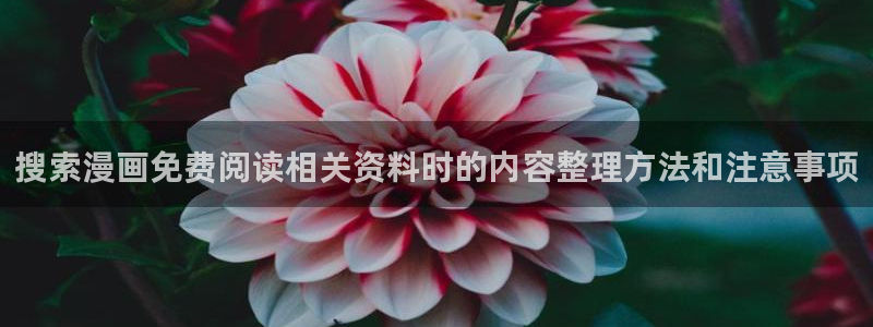 樱花日语视频课程